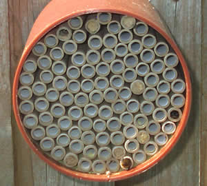 bijenkast voor solitaire bijen